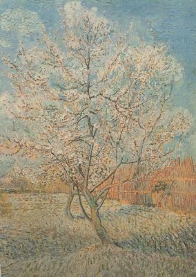 Vincent Van Gogh Peach Tree in Blossom (nn040 Germany oil painting art